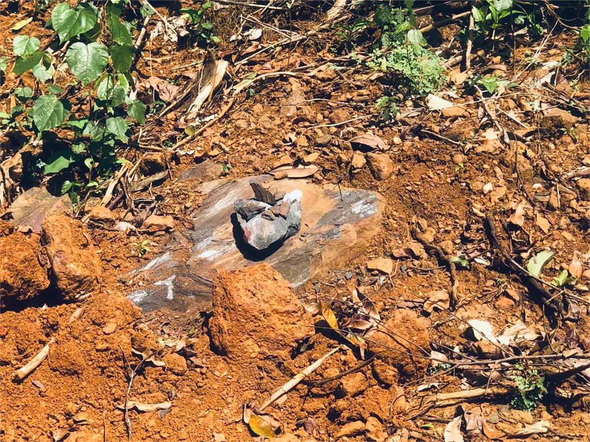 Affleurement rocheux dégagé sur un sol latéritique lors d'une reconnaissance de terrain